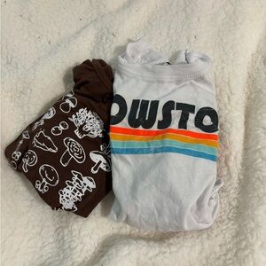 2 pack of cropped shirts.